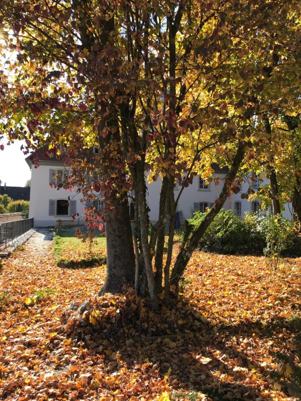Manoir De La Cote-Dieu Porrentruy Buitenkant foto